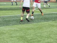 开云体育,资讯,开云体育app,开云体育,开云体育官网,开云体育app,开云体育平台,KAIYUN,SPORTS,kaiyun登录入口