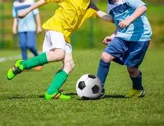 全力推进重,金属污染治,理关键领域,开云体育,开云体育官网,开云体育app,开云体育平台,KAIYUN,SPORTS,kaiyun登录入口