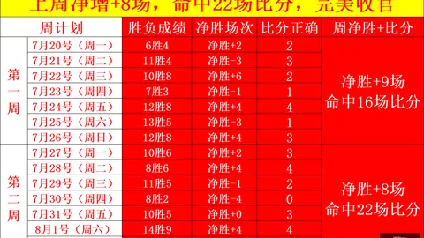 开云体育 141647 40